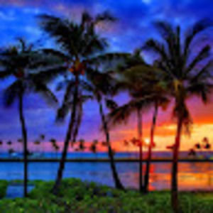 Meet your Posher, Robert